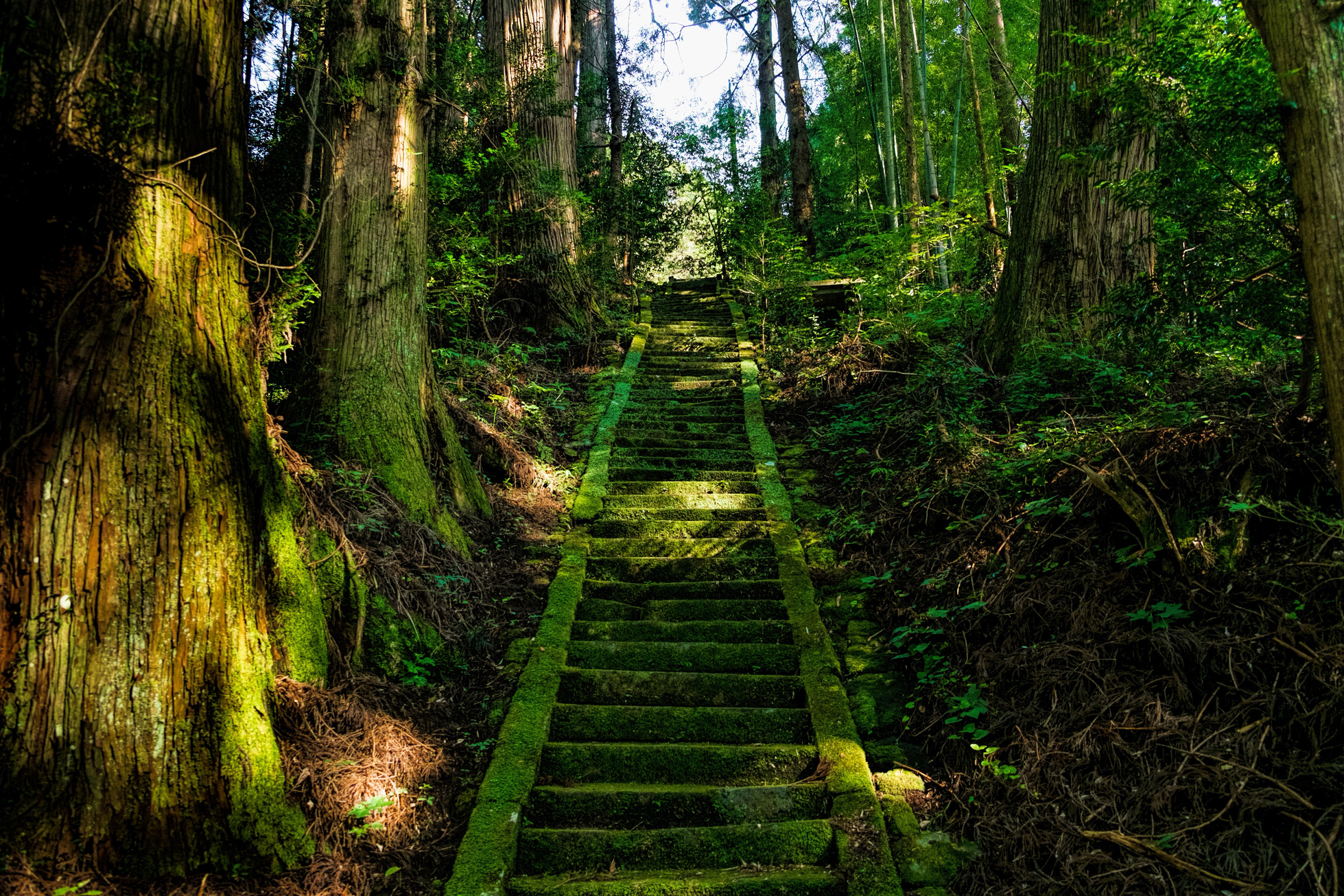 Mossy Shrine Stairs